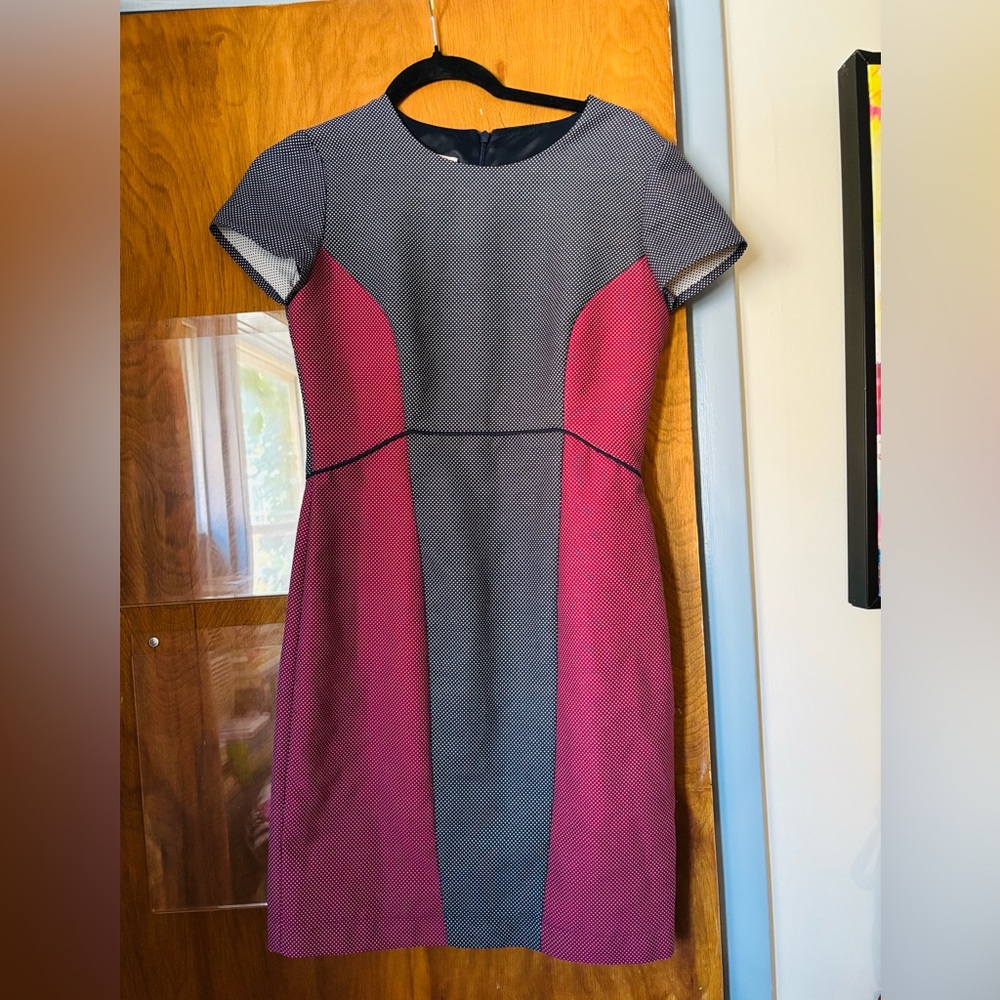 Elegant Pink and Black Women's Dress
